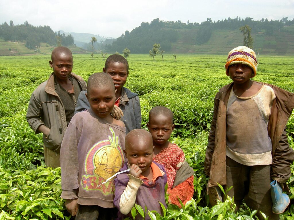 rwanda pics (4)